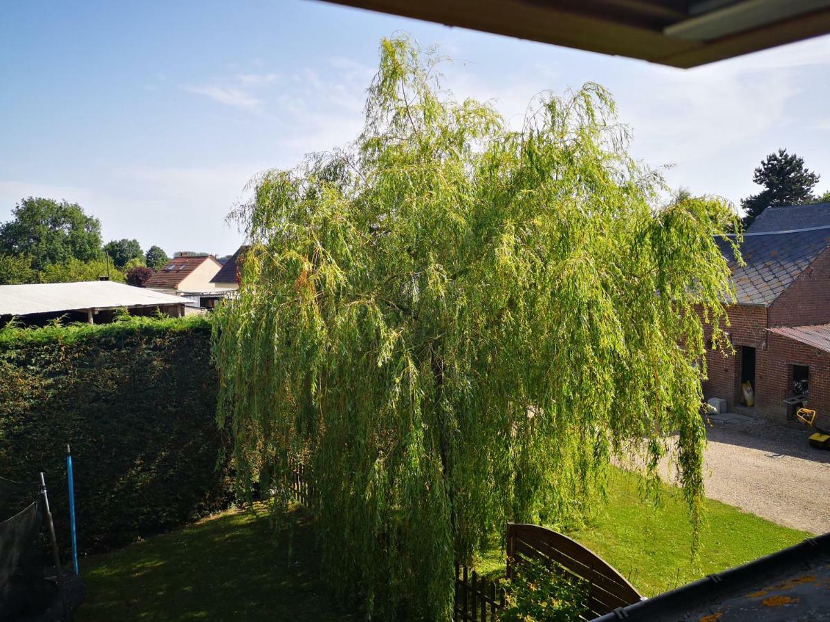 Gite A La Ferme - Baie De Somme Saint-Quentin-Lamotte-Croix-au-Bailly エクステリア 写真